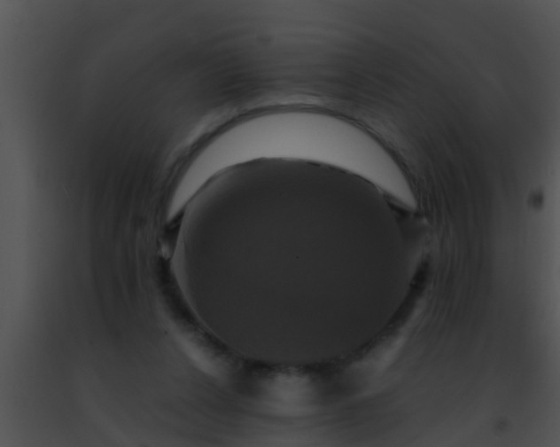 X0000091500256200708302004