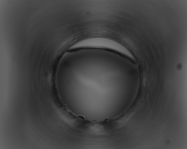 X0000091500258200708302004