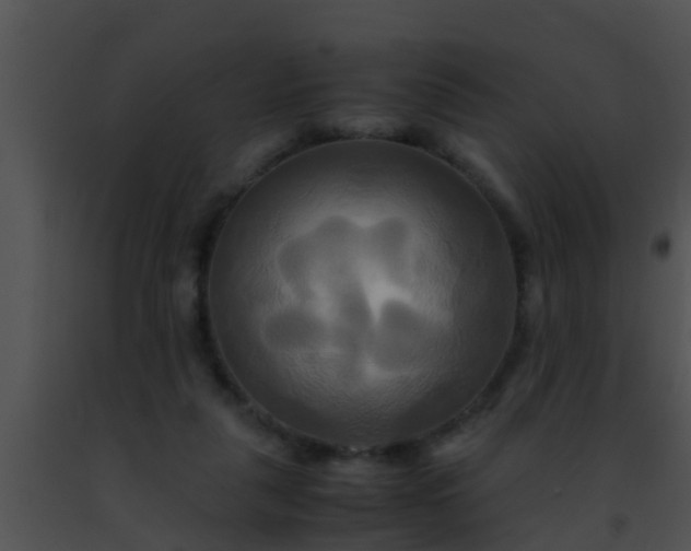 X0000091500259200708302004