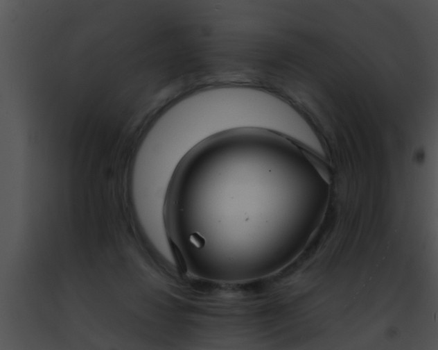 X0000091500260200708302004