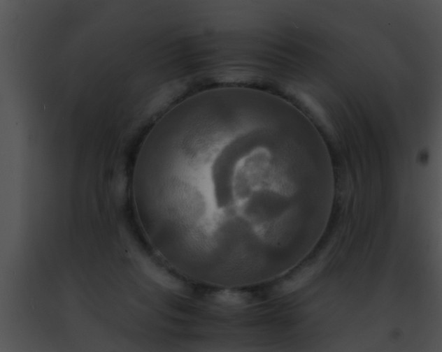 X0000091500261200708302004