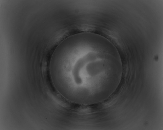 X0000091500263200708302004