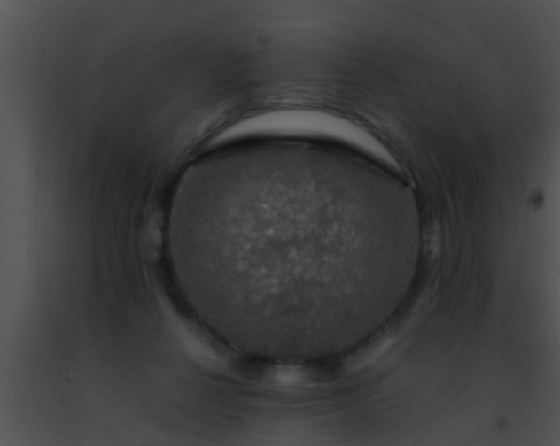 X0000091500264200708302004