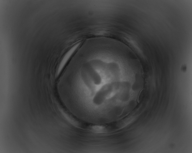 X0000091500265200708302004