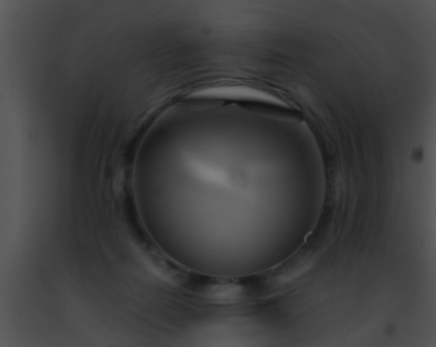 X0000091500266200708302004