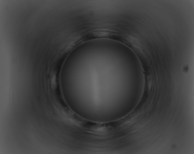 X0000091500267200708302004