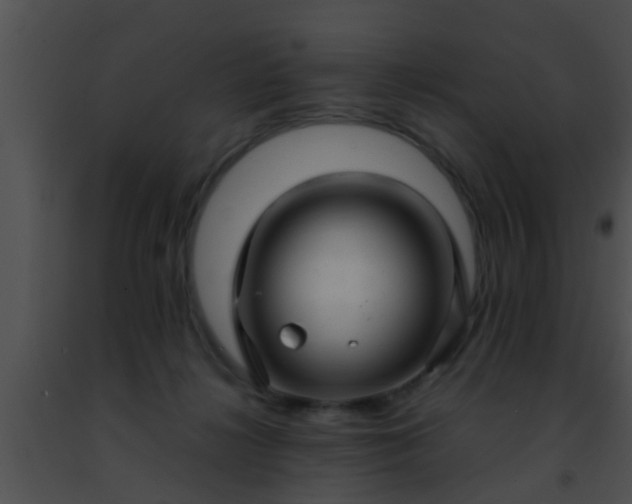 X0000091500268200708302004