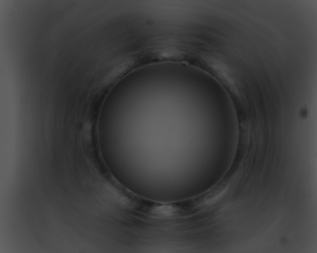 X0000091500269200708302004