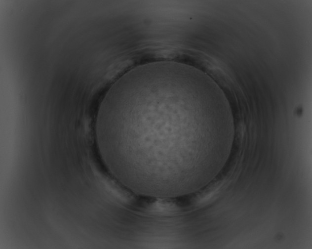 X0000091500270200708302004