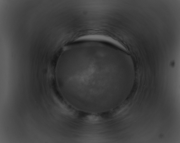 X0000091500272200708302004