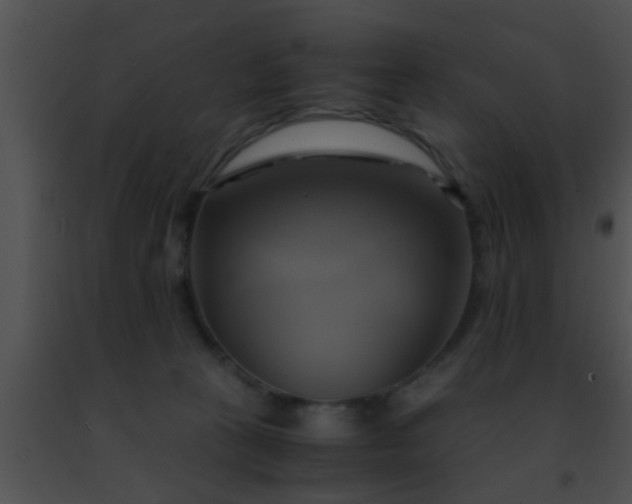 X0000091500273200708302004