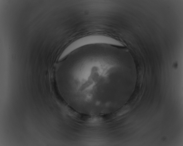 X0000091500274200708302004