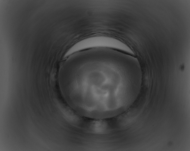 X0000091500275200708302004