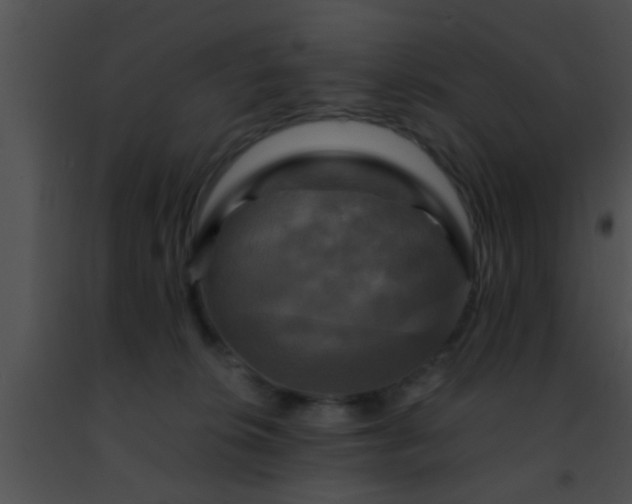 X0000091500276200708302004