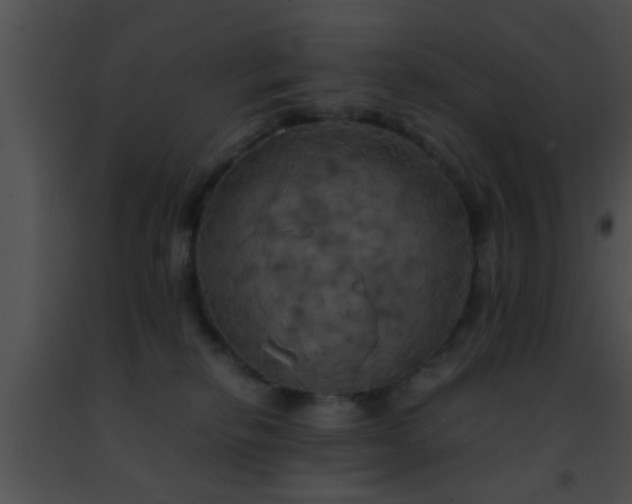 X0000091500278200708302004