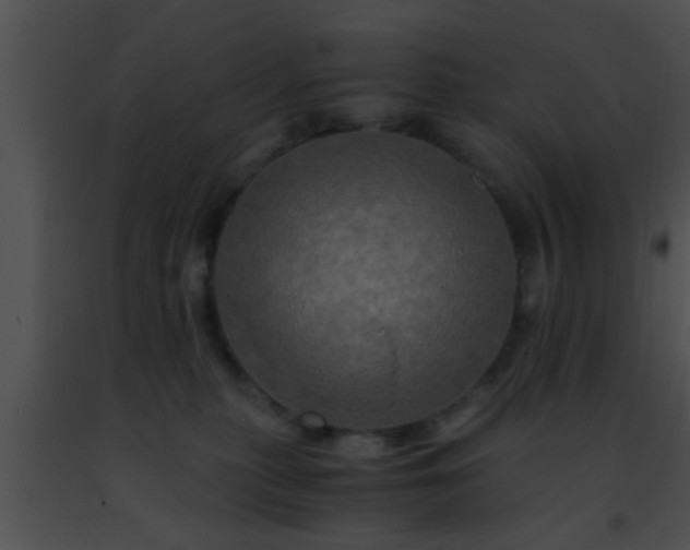 X0000091500279200708302004