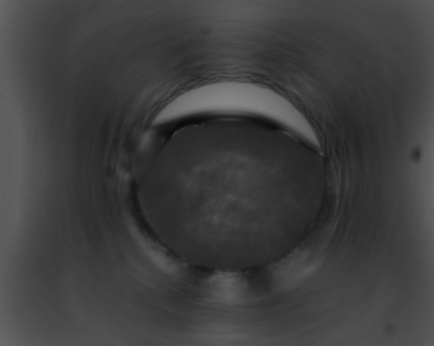 X0000091500280200708302004