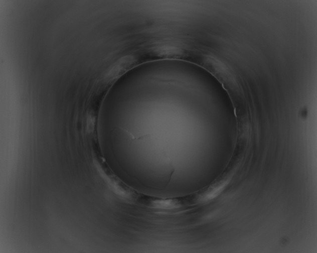 X0000091500281200708302004