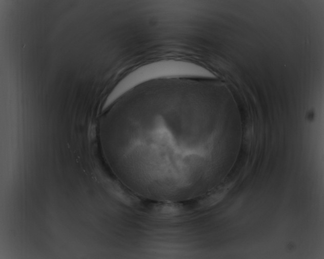 X0000091500282200708302004