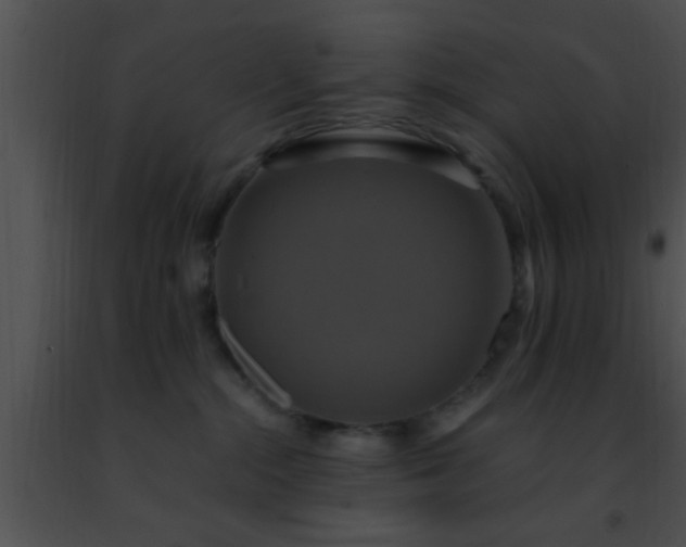 X0000091500284200708302004