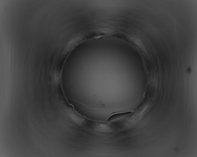 X0000091500285200708302004