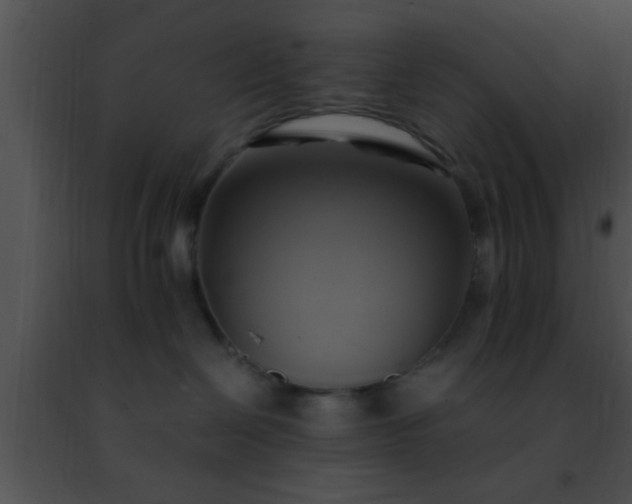 X0000091500286200708302004