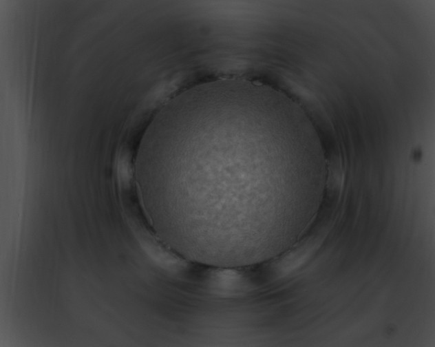 X0000091500287200708302004