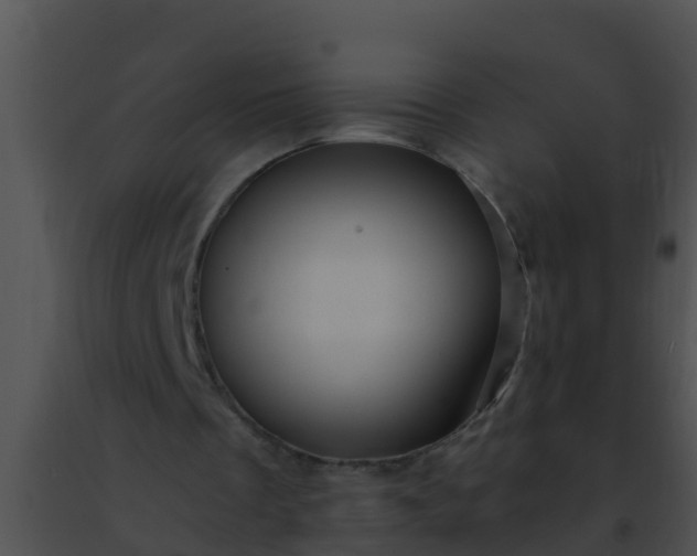 X0000091500289200708302004