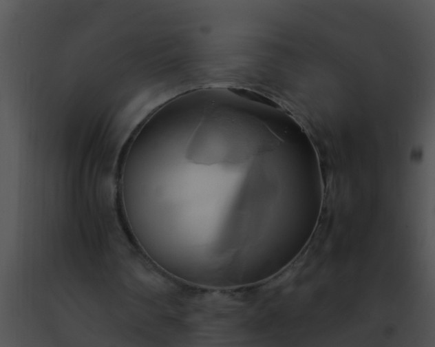 X0000091500290200708302004