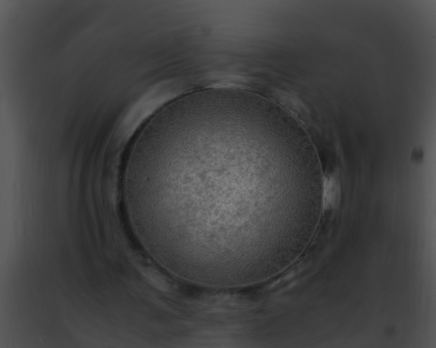 X0000091500291200708302004