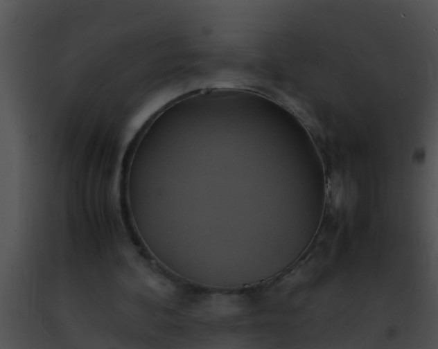 X0000091500292200708302004