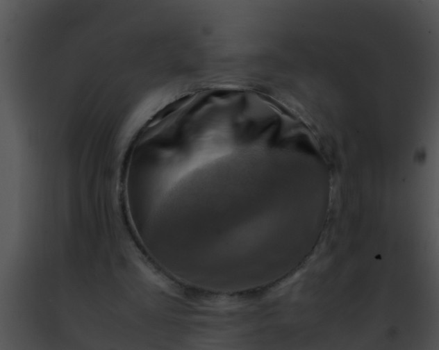 X0000091500293200708302004