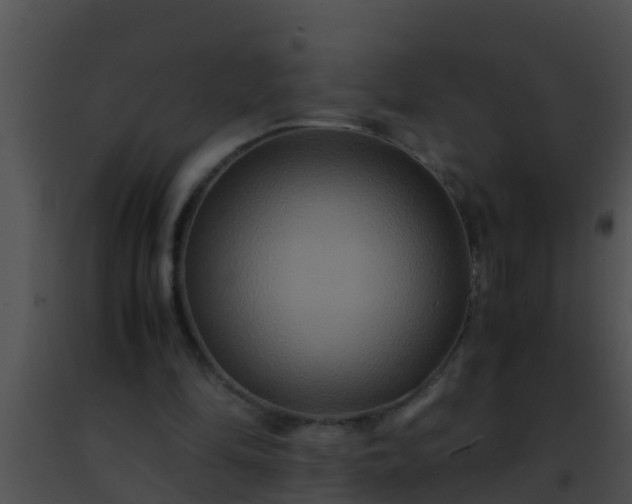 X0000091500294200708302004