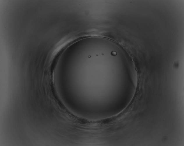 X0000091500295200708302004