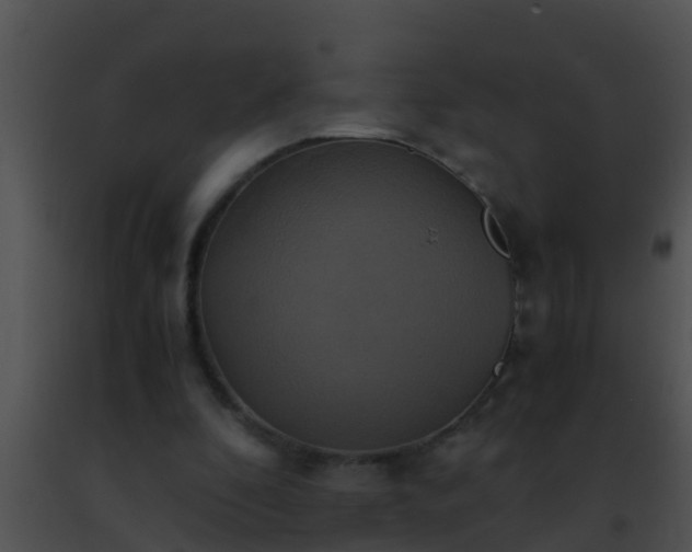 X0000091500296200708302003