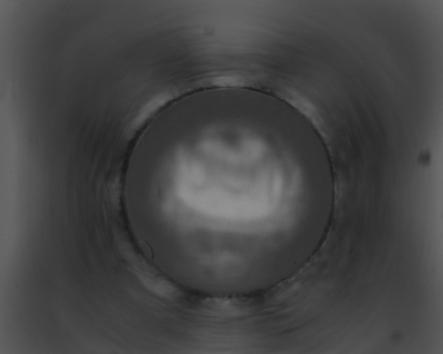 X0000091500297200708302003