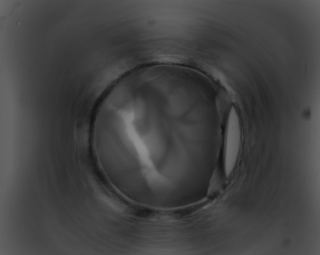 X0000091500299200708302003