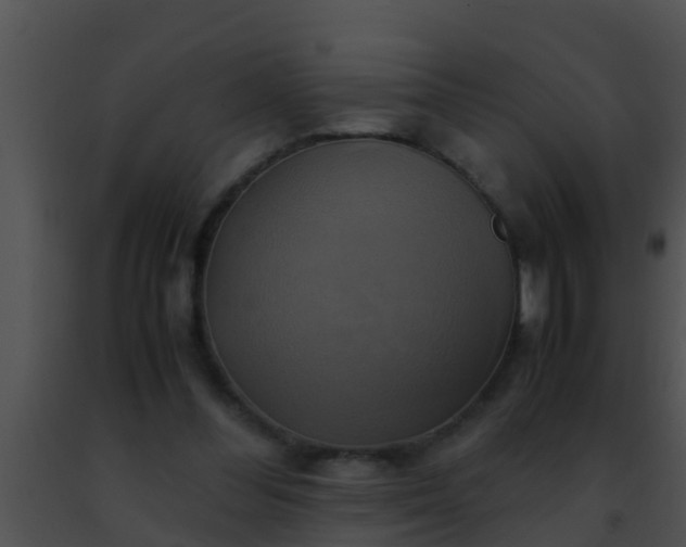 X0000091500300200708302003