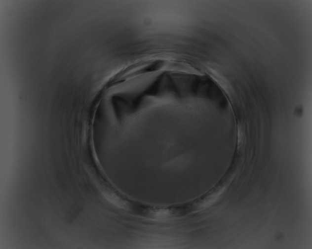 X0000091500301200708302003