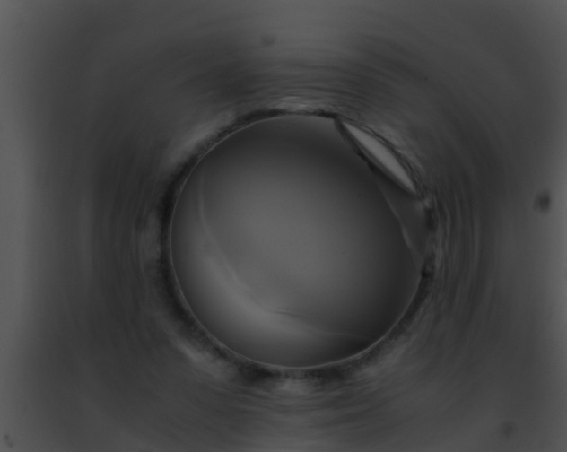 X0000091500303200708302003