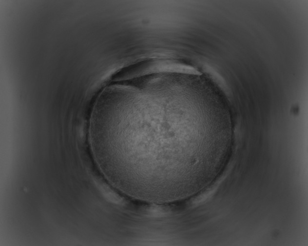 X0000091500305200708302003