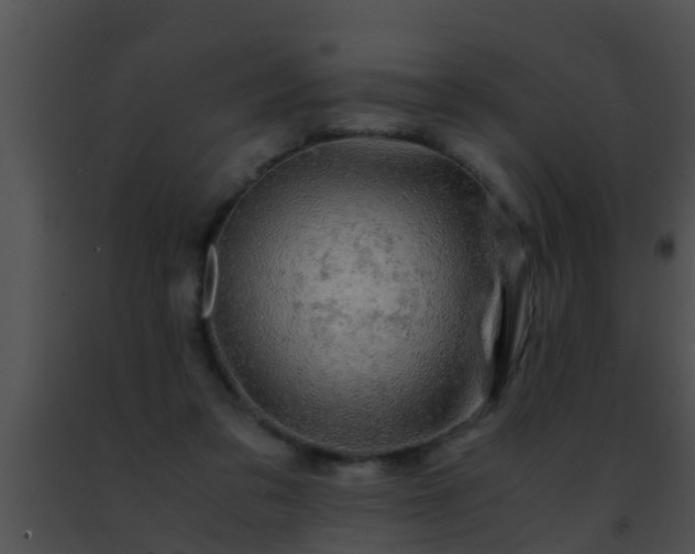 X0000091500309200708302003