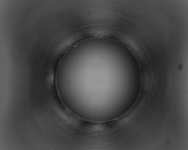 X0000091500310200708302003