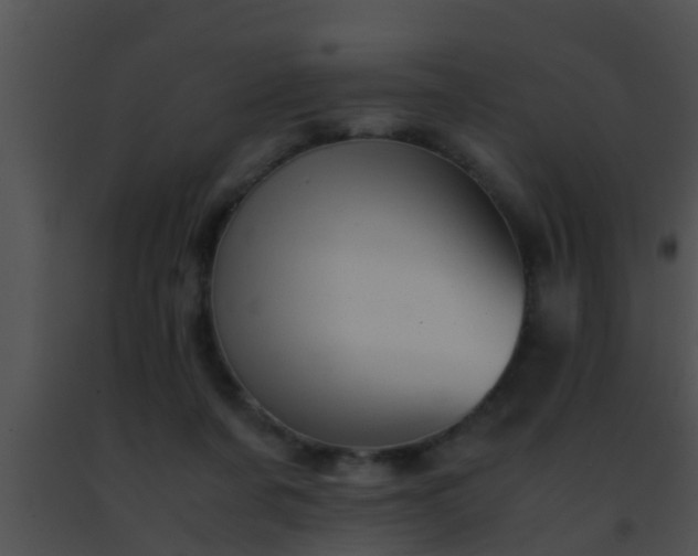 X0000091500311200708302003