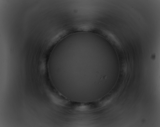 X0000091500312200708302003