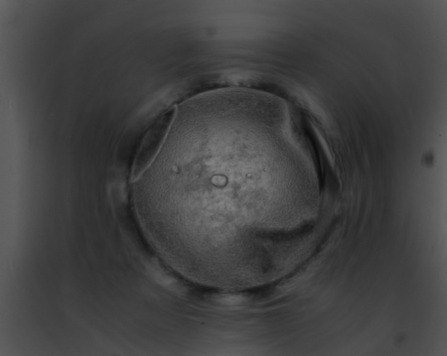 X0000091500313200708302003