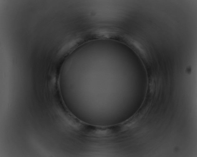 X0000091500314200708302003