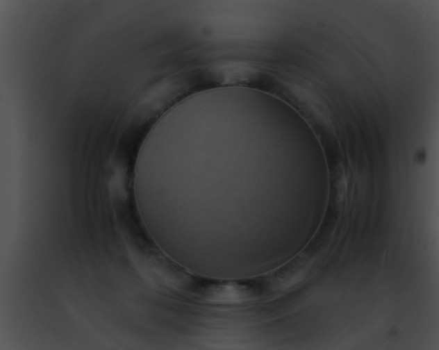 X0000091500316200708302003