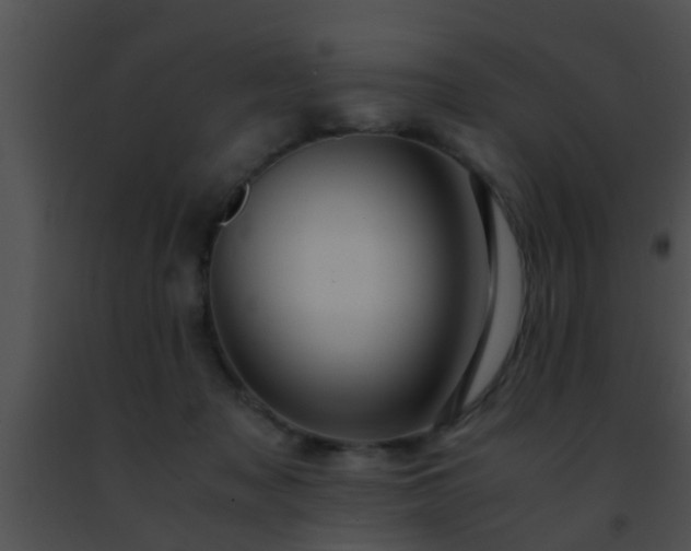 X0000091500317200708302003