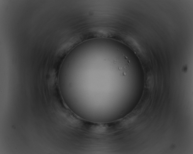 X0000091500318200708302003